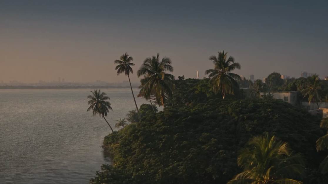 Image de synthèse. Des palmiers penchés au-dessus de la lagune, au soleil bas.